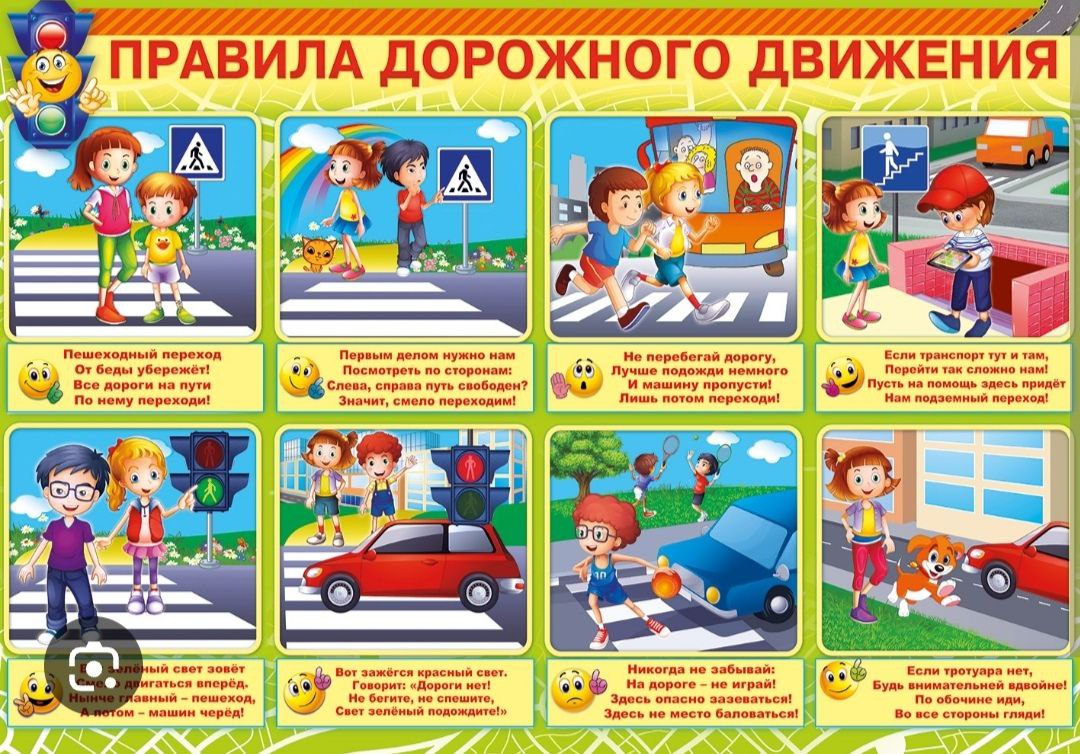 Профилактический урок ПДД.
